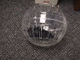 running around in a plastic ball